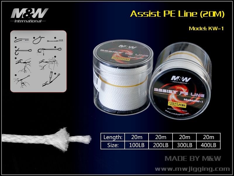 Assist PE Line KW-1 200LB Jig İğnesi İpi 20 metre