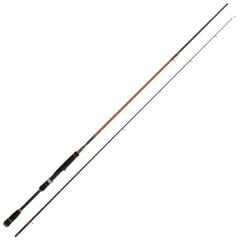 Cinentic 8560 Rextail Eging  Kamış