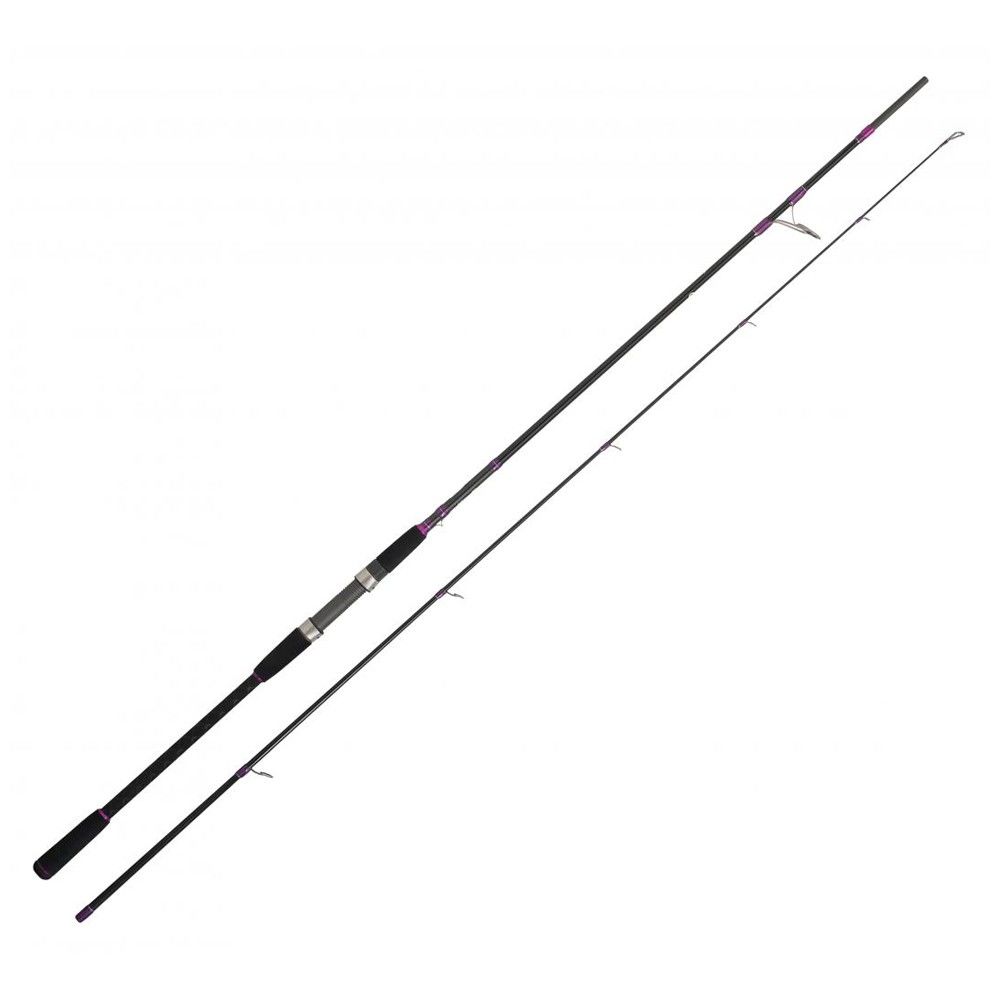 8500 Expoler Sea bass Evolution 300 MH - 20/80GR
