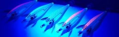 DTD Ballistic White Killer 3.0 Kalamar Zokaları